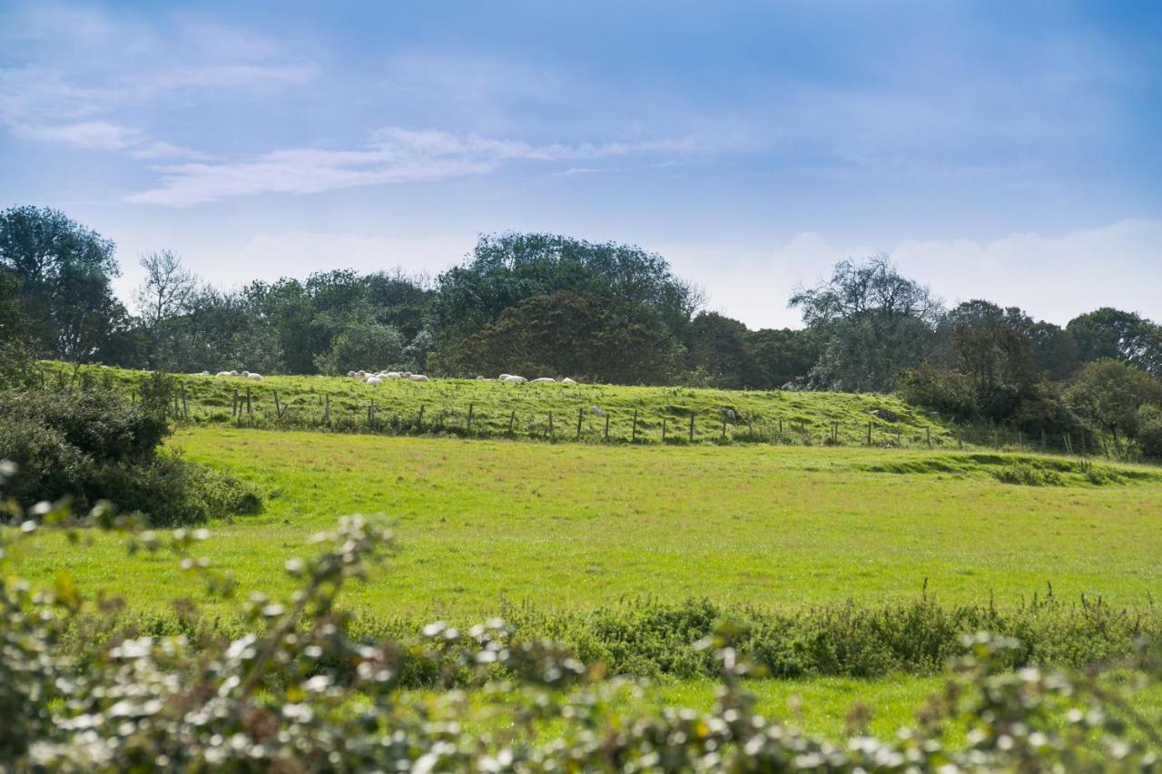 Tyn Lon Villa Moelfre Dış mekan fotoğraf